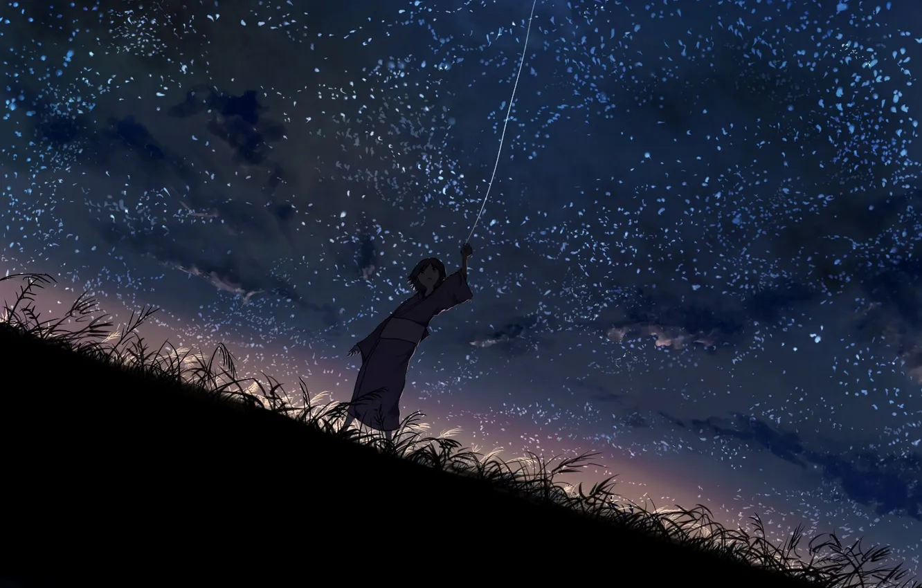 Photo wallpaper the sky, stars, night, girl