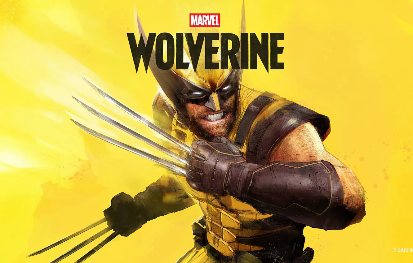 Photo wallpaper Wolverine, Marvel, claws