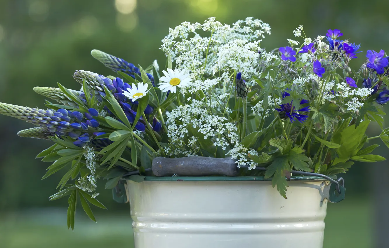 Photo wallpaper summer, flowers, bucket