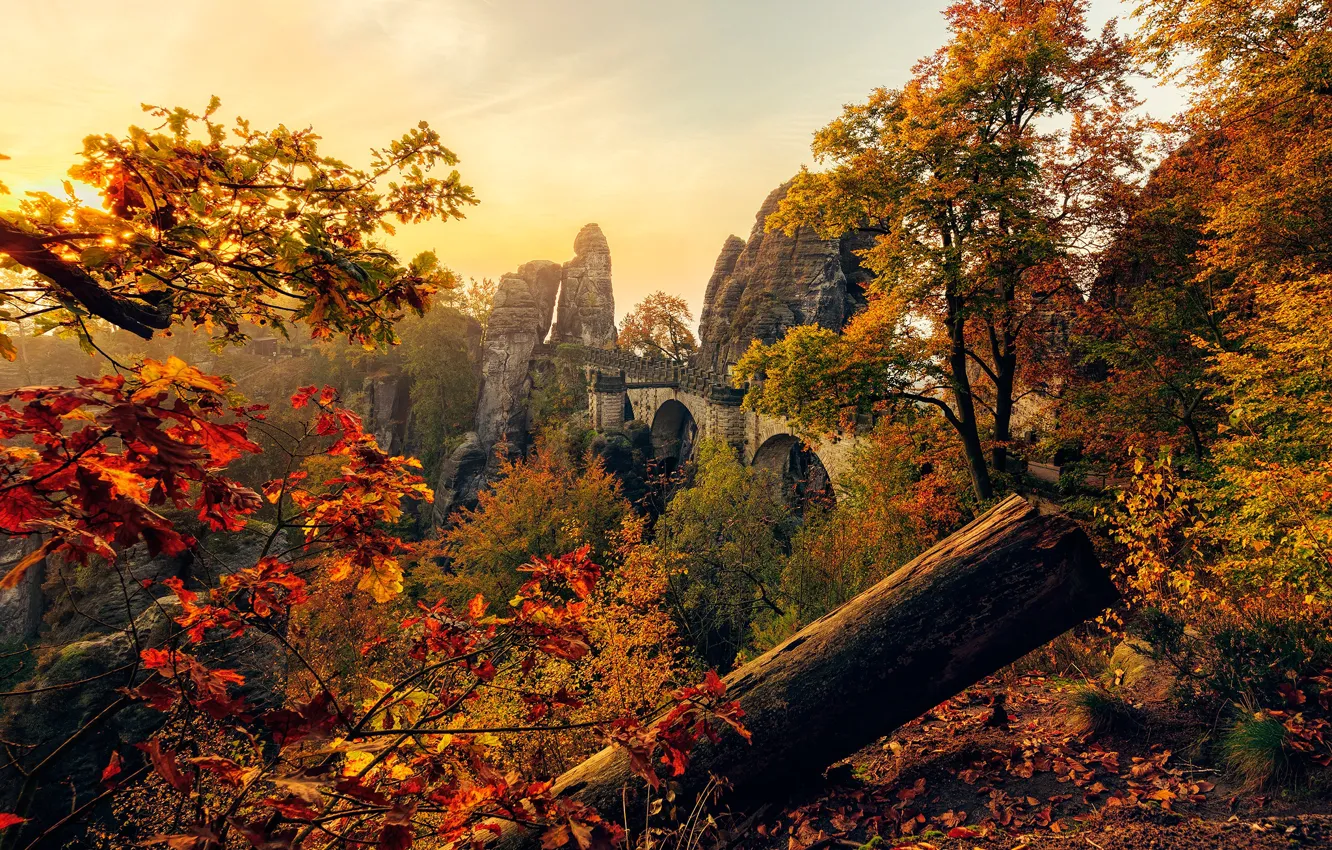 Photo wallpaper autumn, leaves, the sun, trees, bridge, stones, rocks, Germany