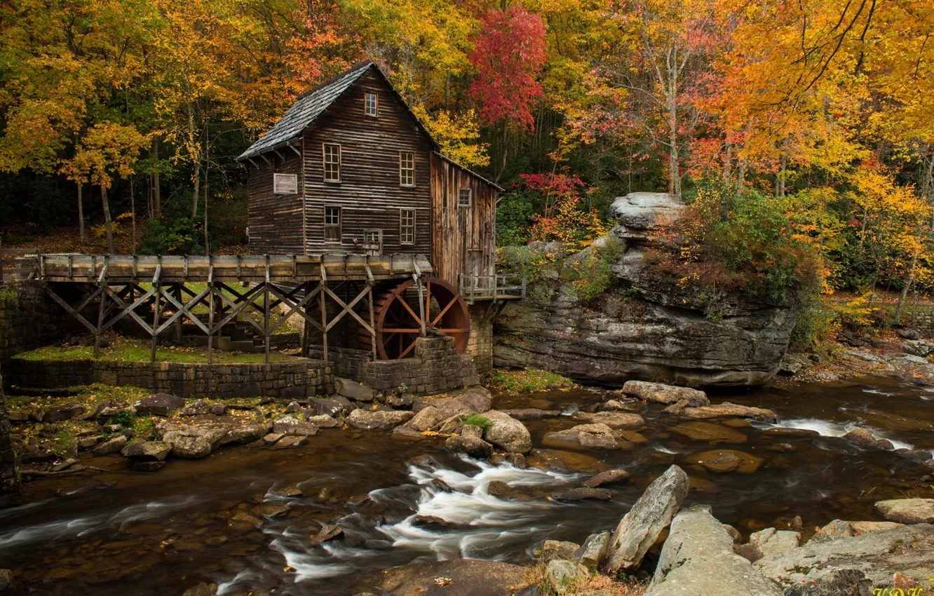 Photo wallpaper autumn, forest, water, trees, house, river, hut