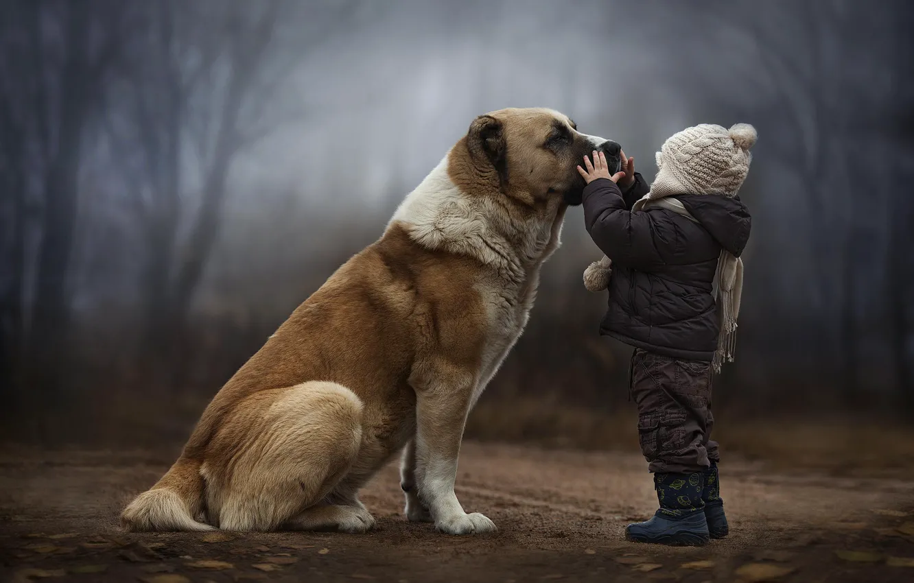 Photo wallpaper dog, friendship, child