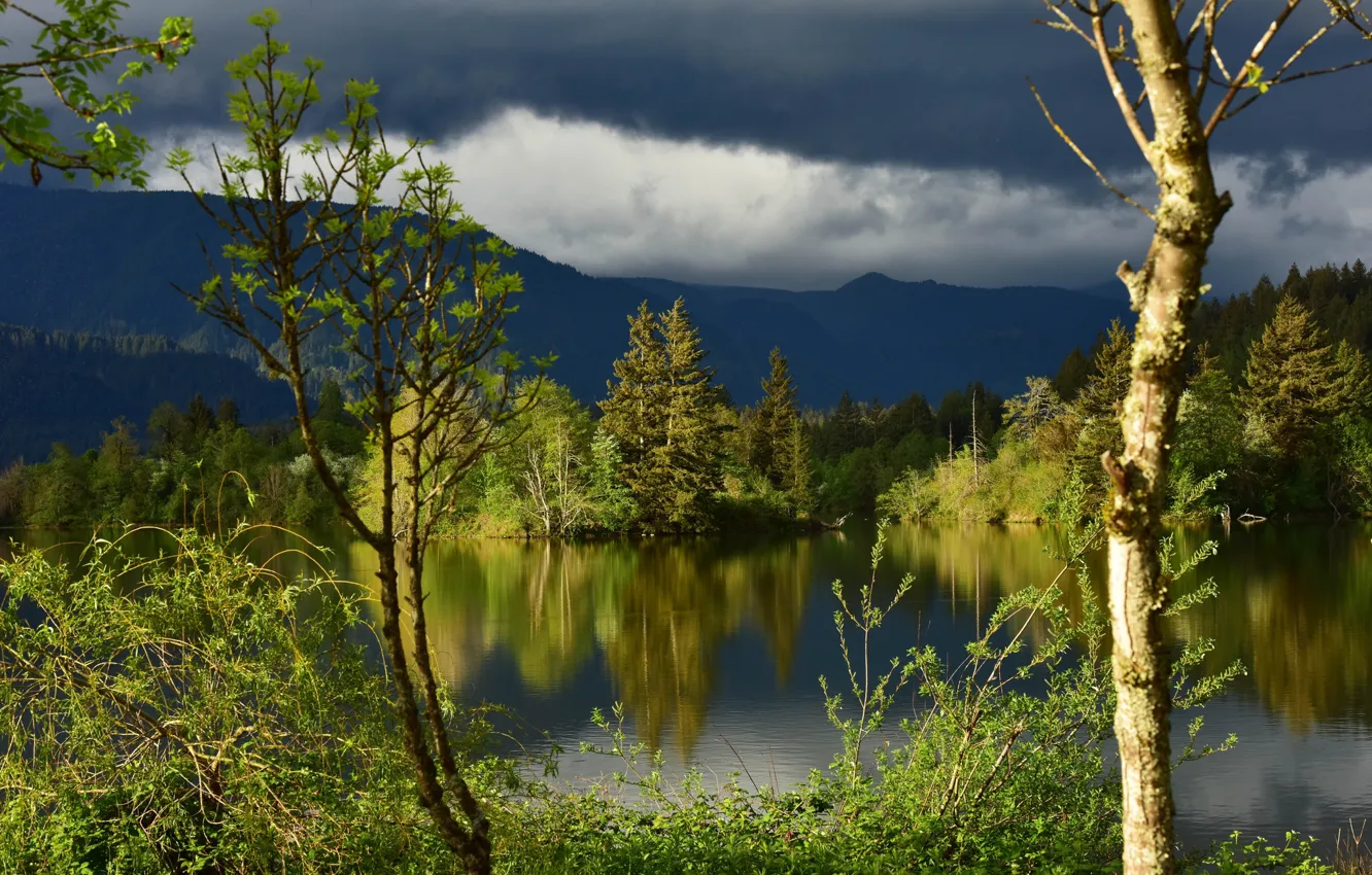 Photo wallpaper forest, clouds, trees, reflection, river, Washington, Columbia River, the Columbia river