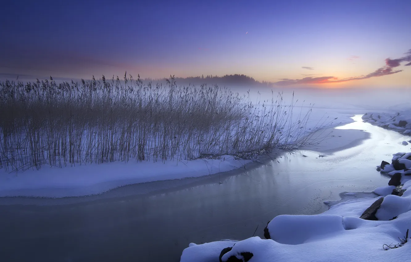 Photo wallpaper winter, sunset, river, reed