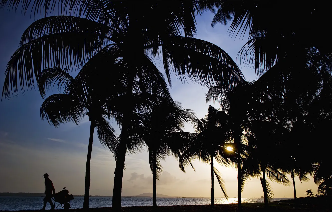 Photo wallpaper beach, sunset, palm trees