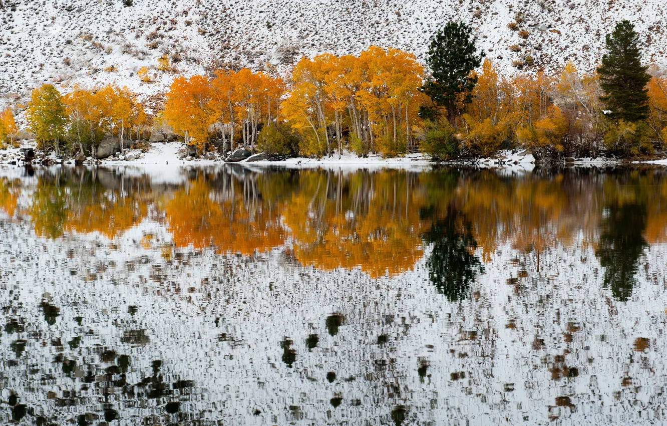 Photo wallpaper California, refections, Fall Snow, Bishop Creek