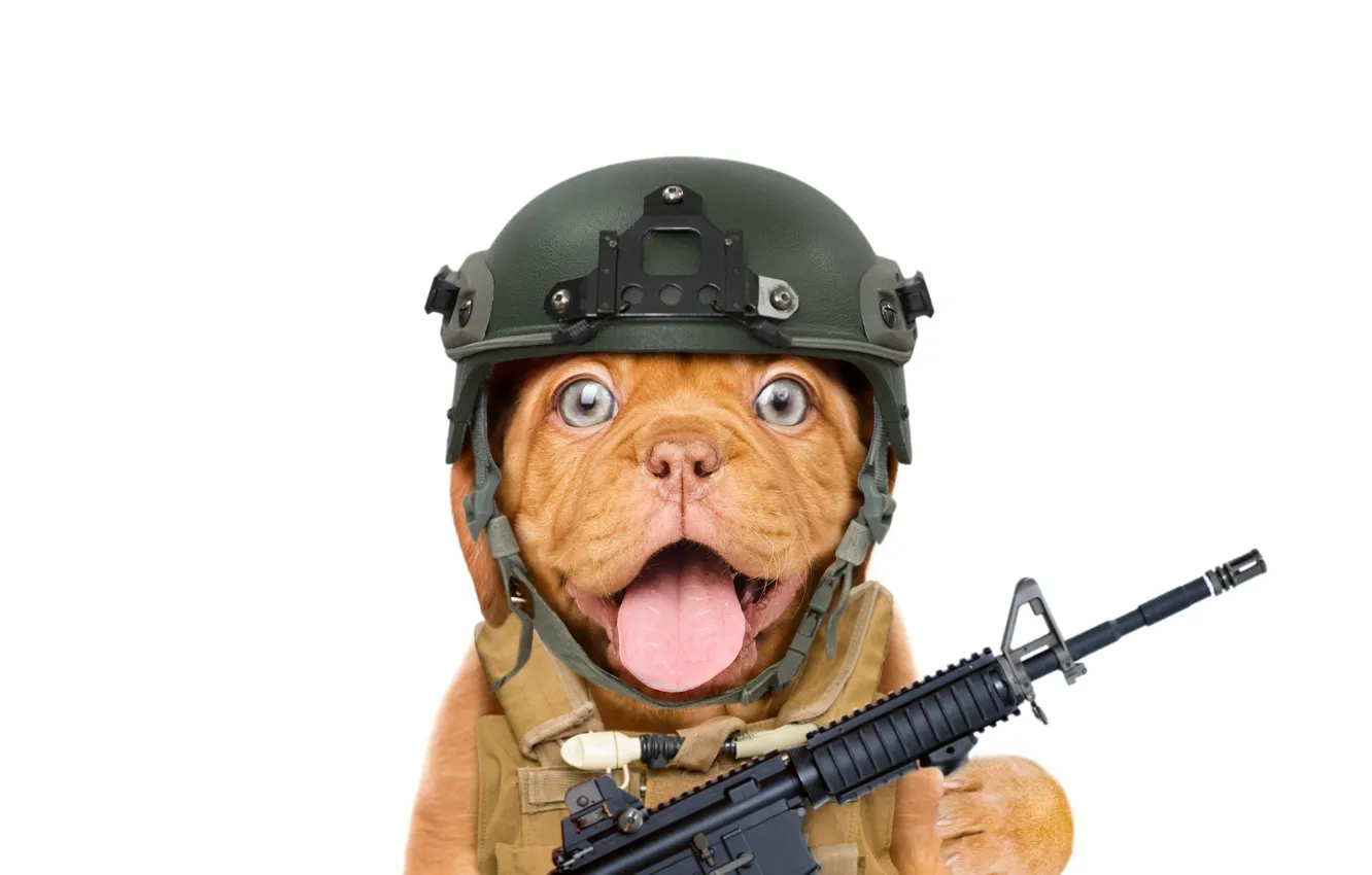 Photo wallpaper face, weapons, humor, positive, machine, white background, helmet, positive