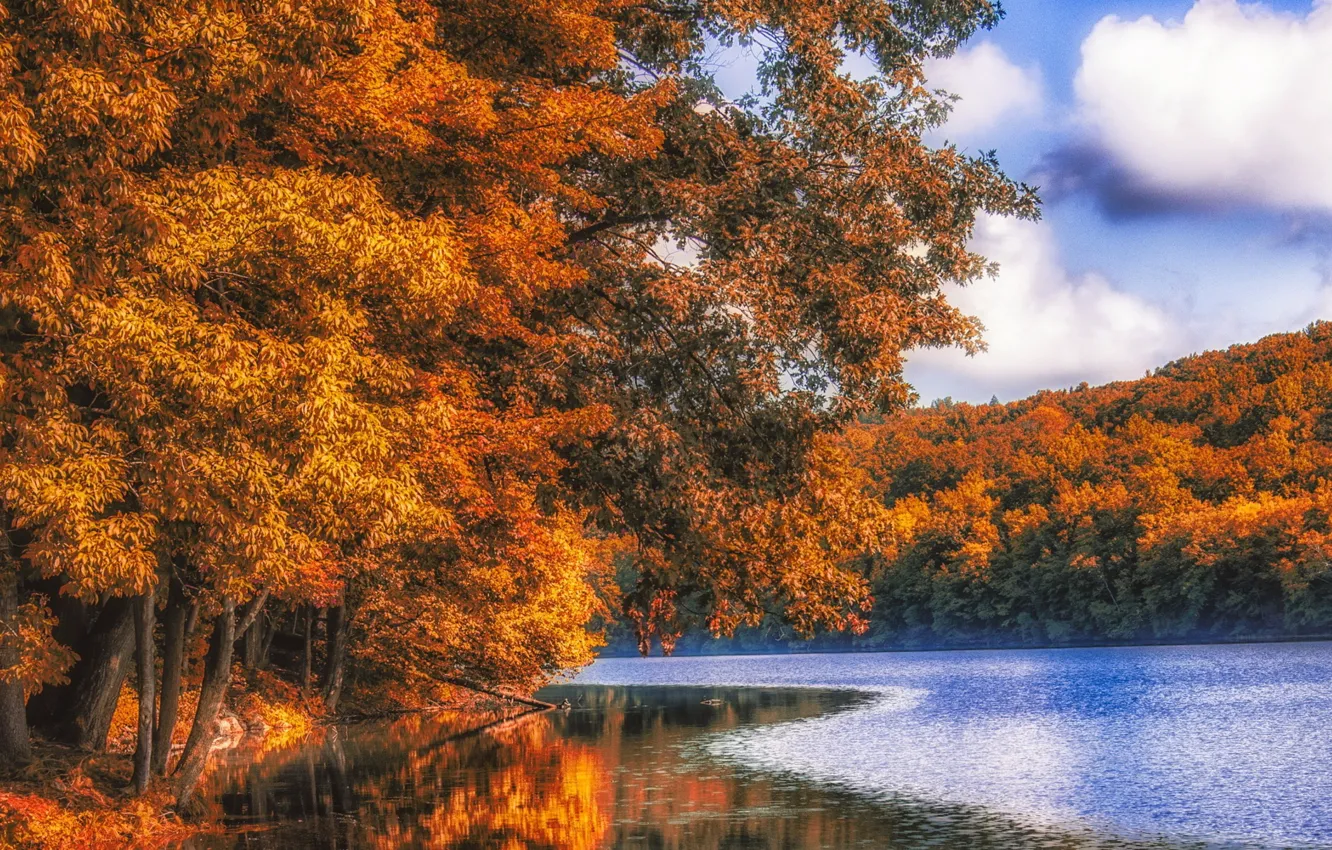 Photo wallpaper autumn, forest, river