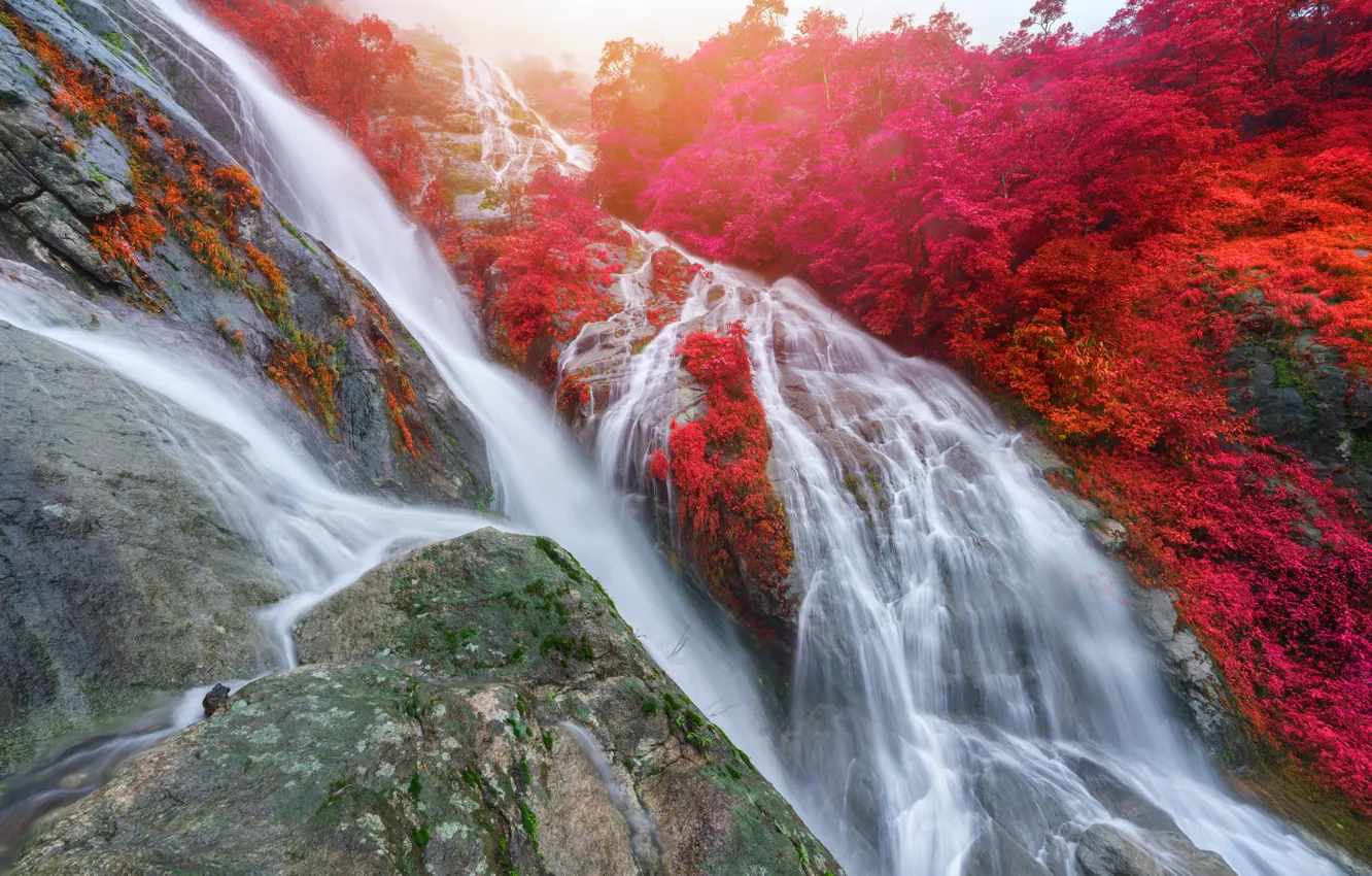 Photo wallpaper landscape, nature, rocks, shore, vegetation, waterfall