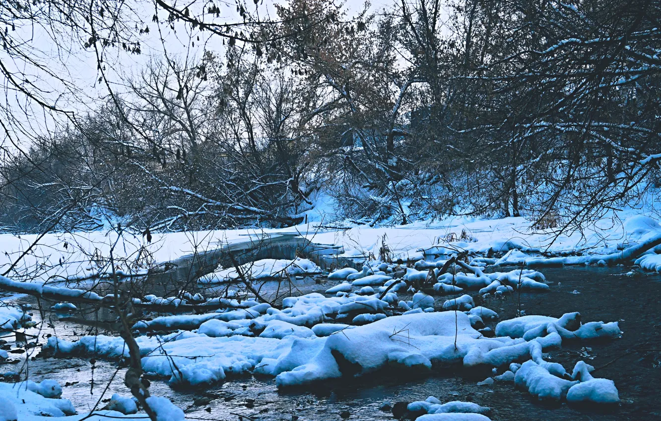 Photo wallpaper forest, the sky, the sun, trees, landscape, nature, stream, in the background