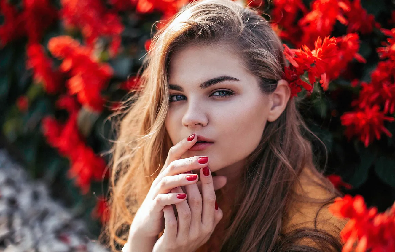 Photo wallpaper girl, flowers, face, portrait, Margo, Svetlana Gosteva