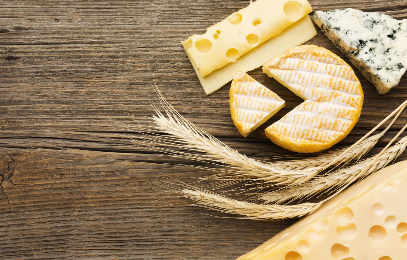 Photo wallpaper Board, food, cheese, ears, holes, different, piece, cheese head