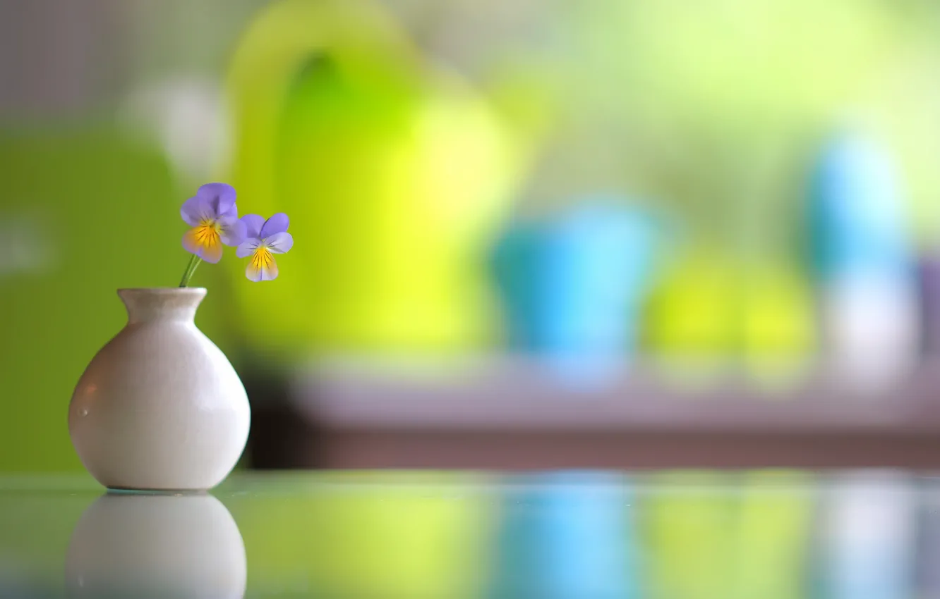 Photo wallpaper flowers, background, vase