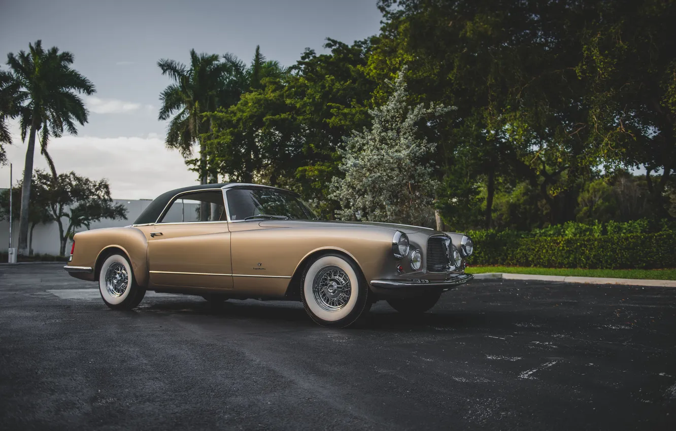 Photo wallpaper tropics, retro, palm trees, Chrysler, gold, classic, Coupe, Chrysler 300B Coupe Speciale 1956г