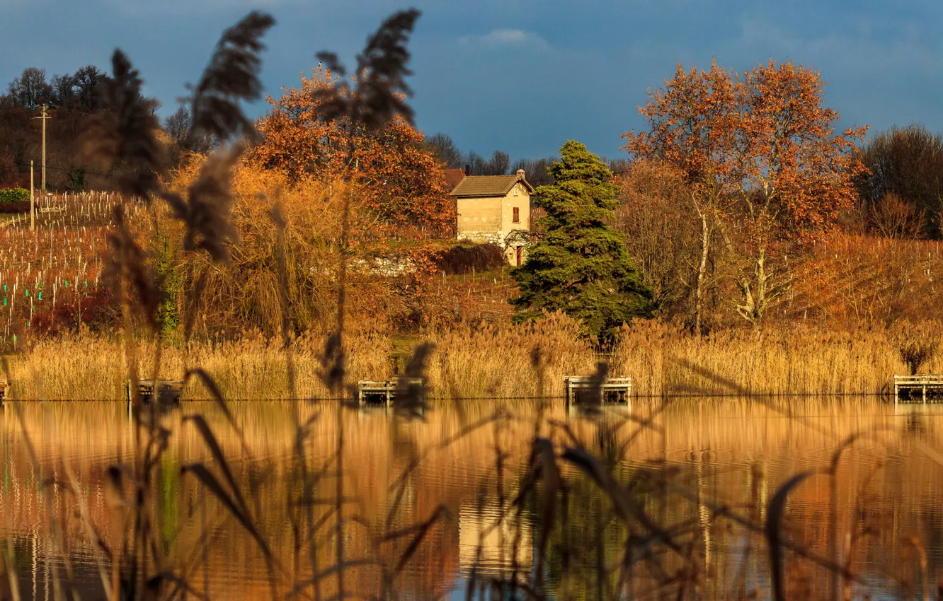 Photo wallpaper autumn, grass, light, shore, house, pond