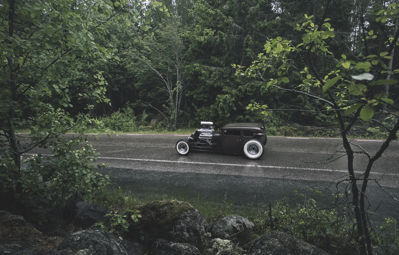 Photo wallpaper forest, rain, forest, ford, Ford, rain, rat, rod