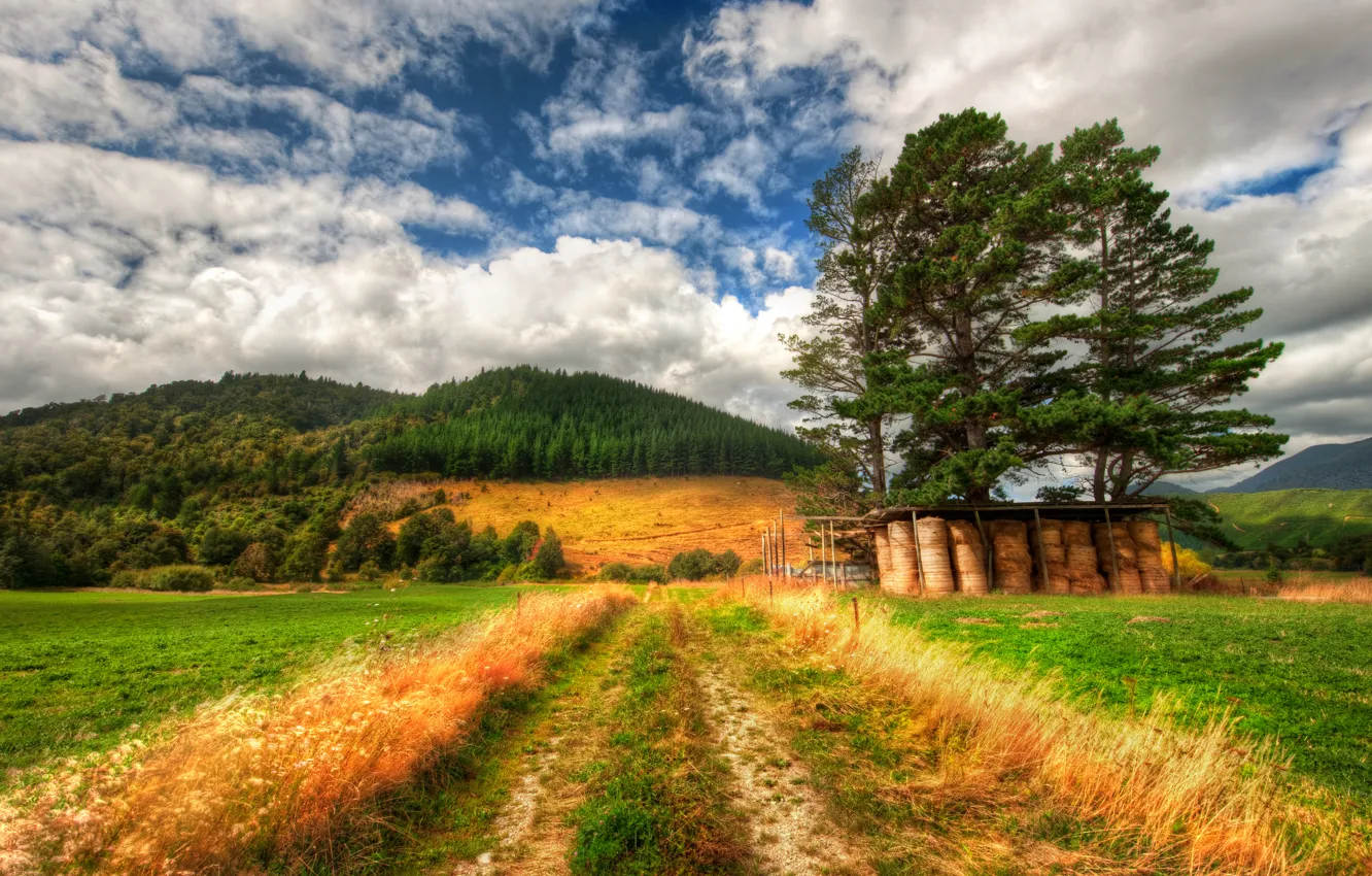 Photo wallpaper field, landscape, New Zealand, field, landscape, New Zealand, farm, farm