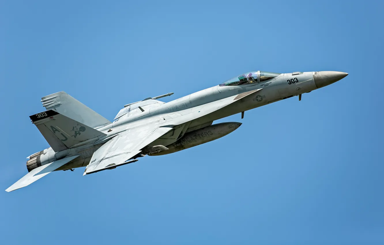 Photo wallpaper the sky, the plane, Flies