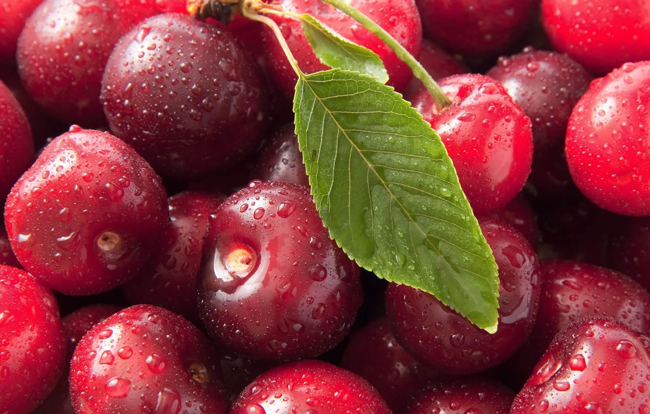 Photo wallpaper drops, macro, cherry, berries