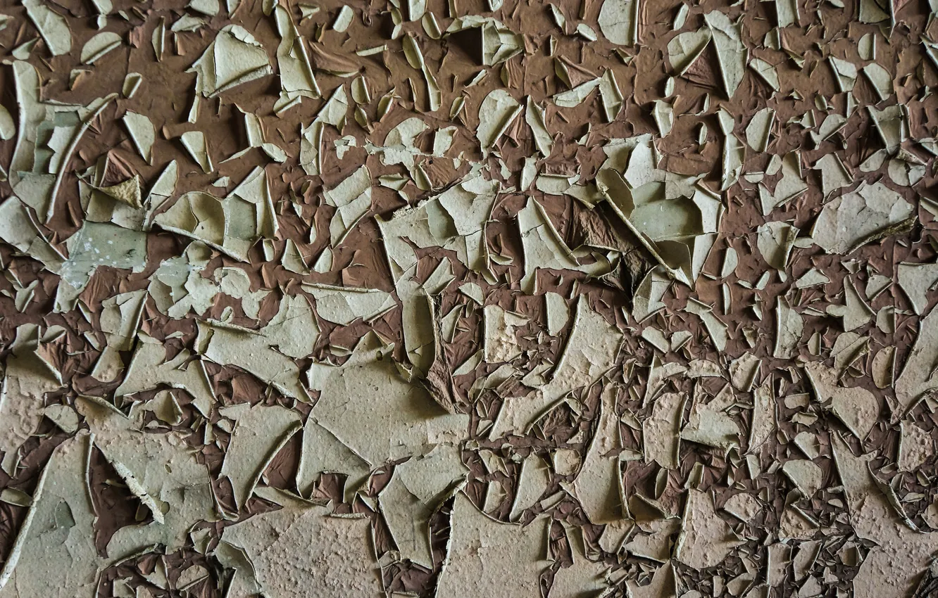Photo wallpaper surface, cracked, paint, color
