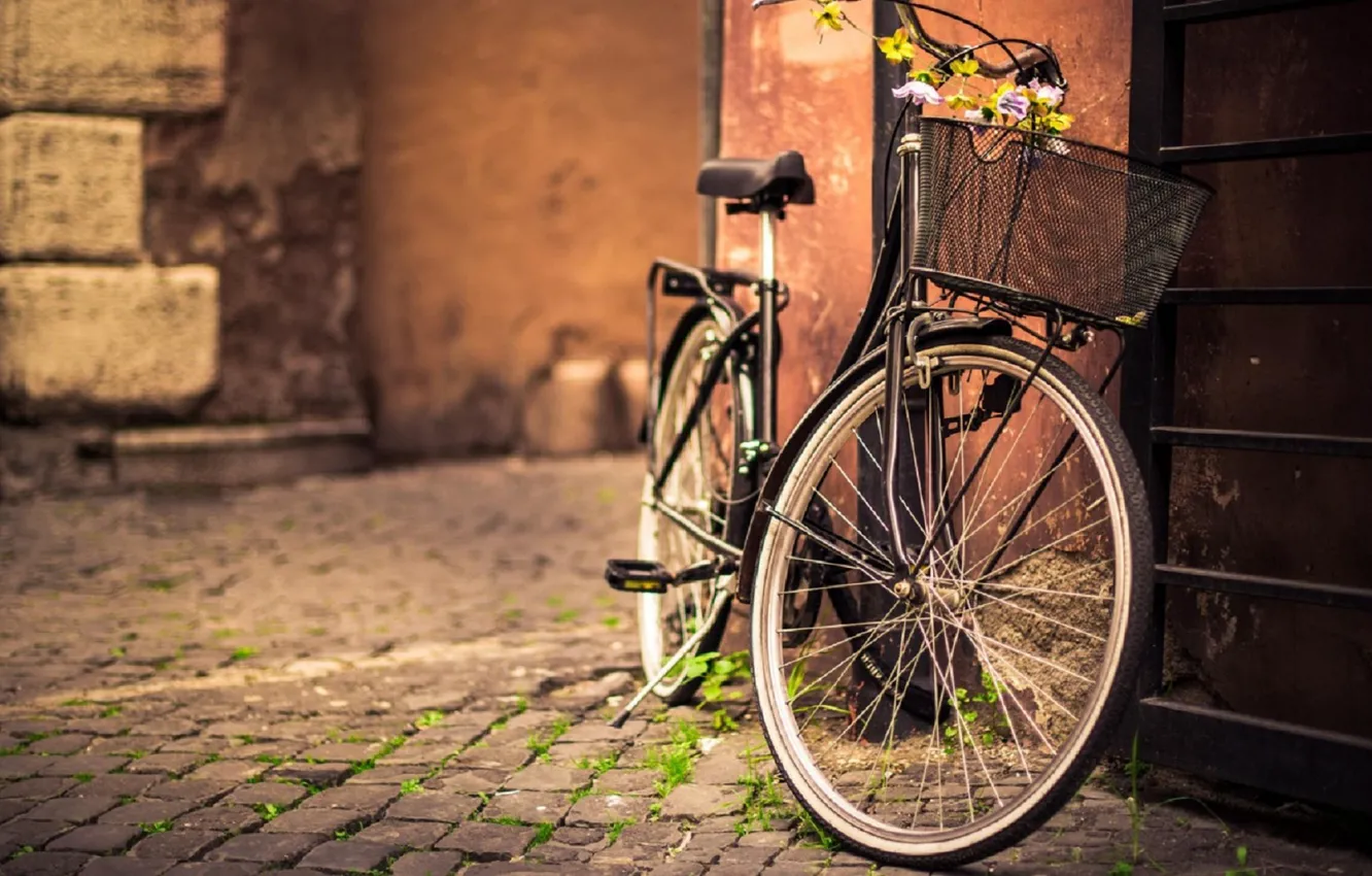 Photo wallpaper bicycle, flower, photography, bike, street