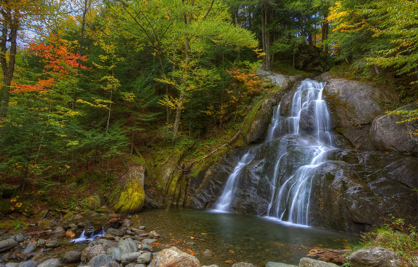 Photo wallpaper autumn, forest, trees, stones, rocks, waterfall