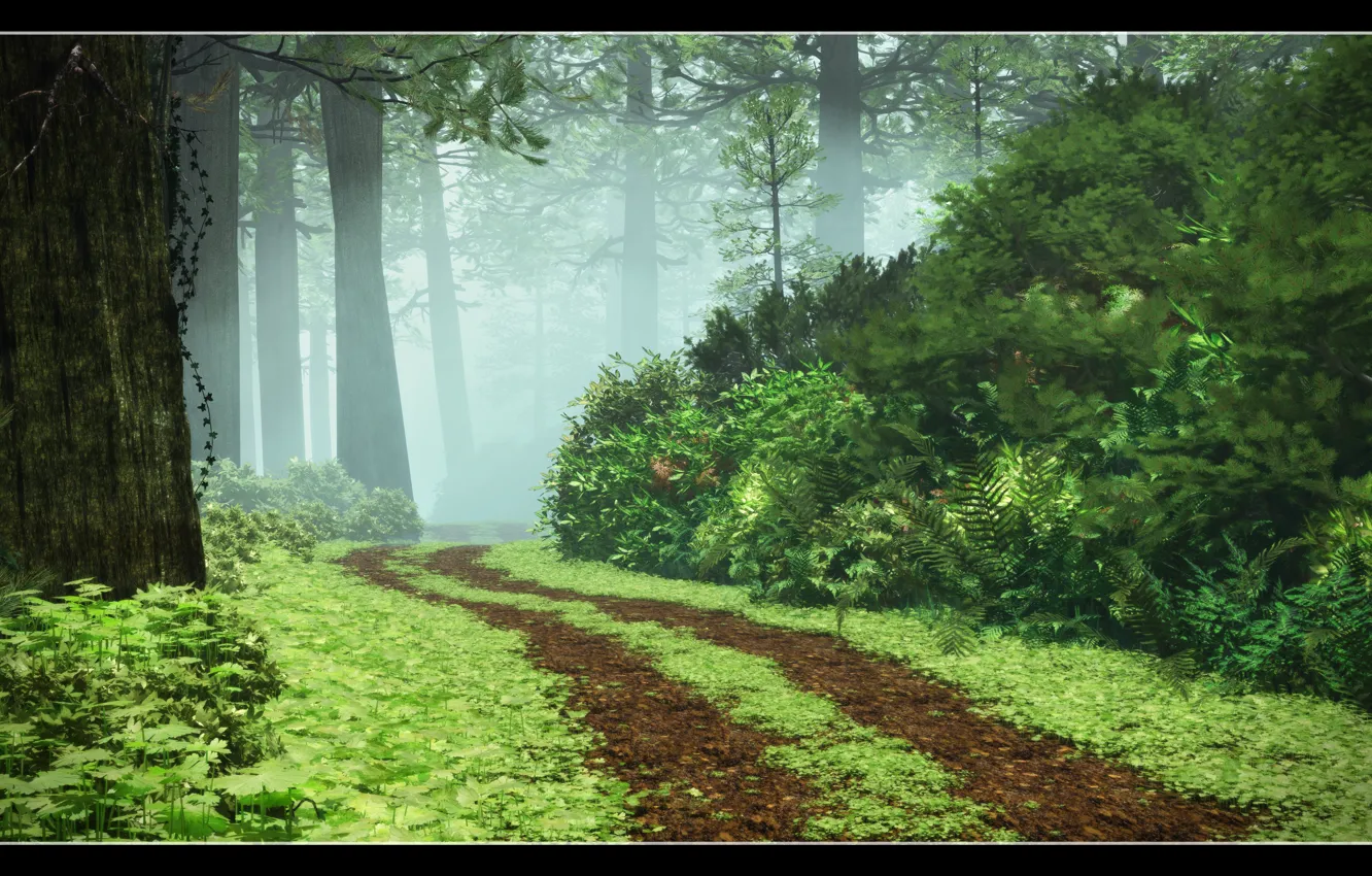 Photo wallpaper road, forest, grass, trees, fog, the bushes, Redwood Walk