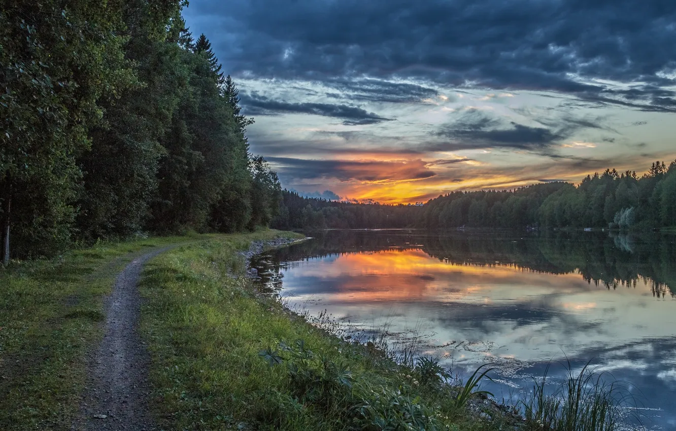 Photo wallpaper forest, the sky, grass, clouds, trees, landscape, sunset, nature