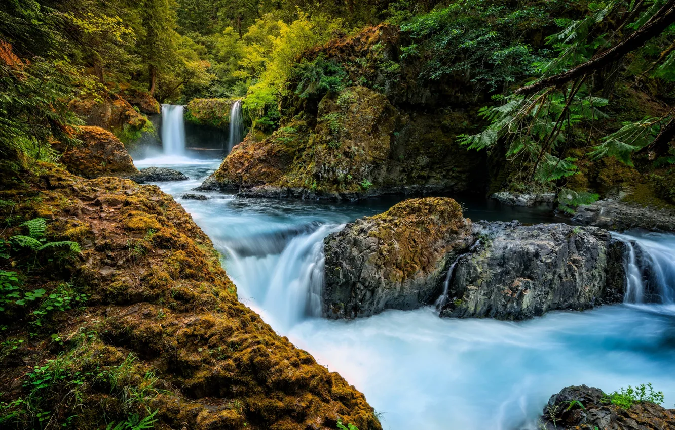 Photo wallpaper forest, river, waterfall, Washington, Little White Salmon River, Spirit If