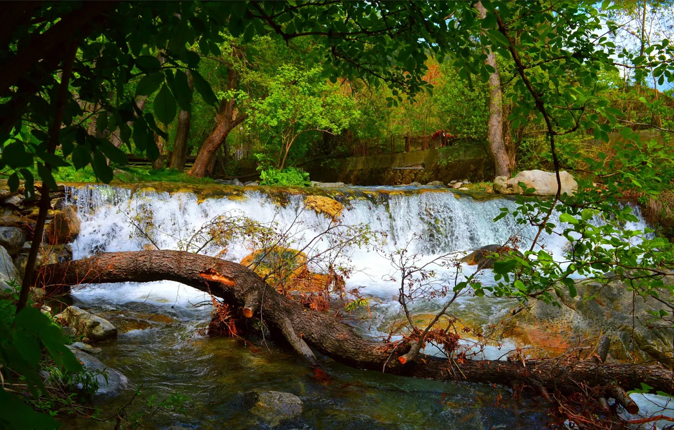 Photo wallpaper greens, nature, green, waterfall, spring, nature, waterfall, spring