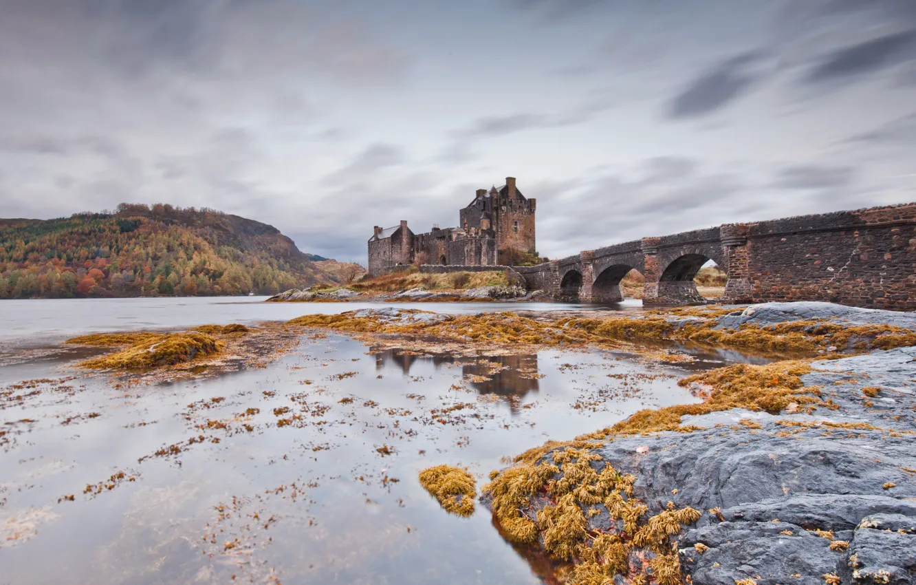 Photo wallpaper landscape, bridge, river, castle, ruins