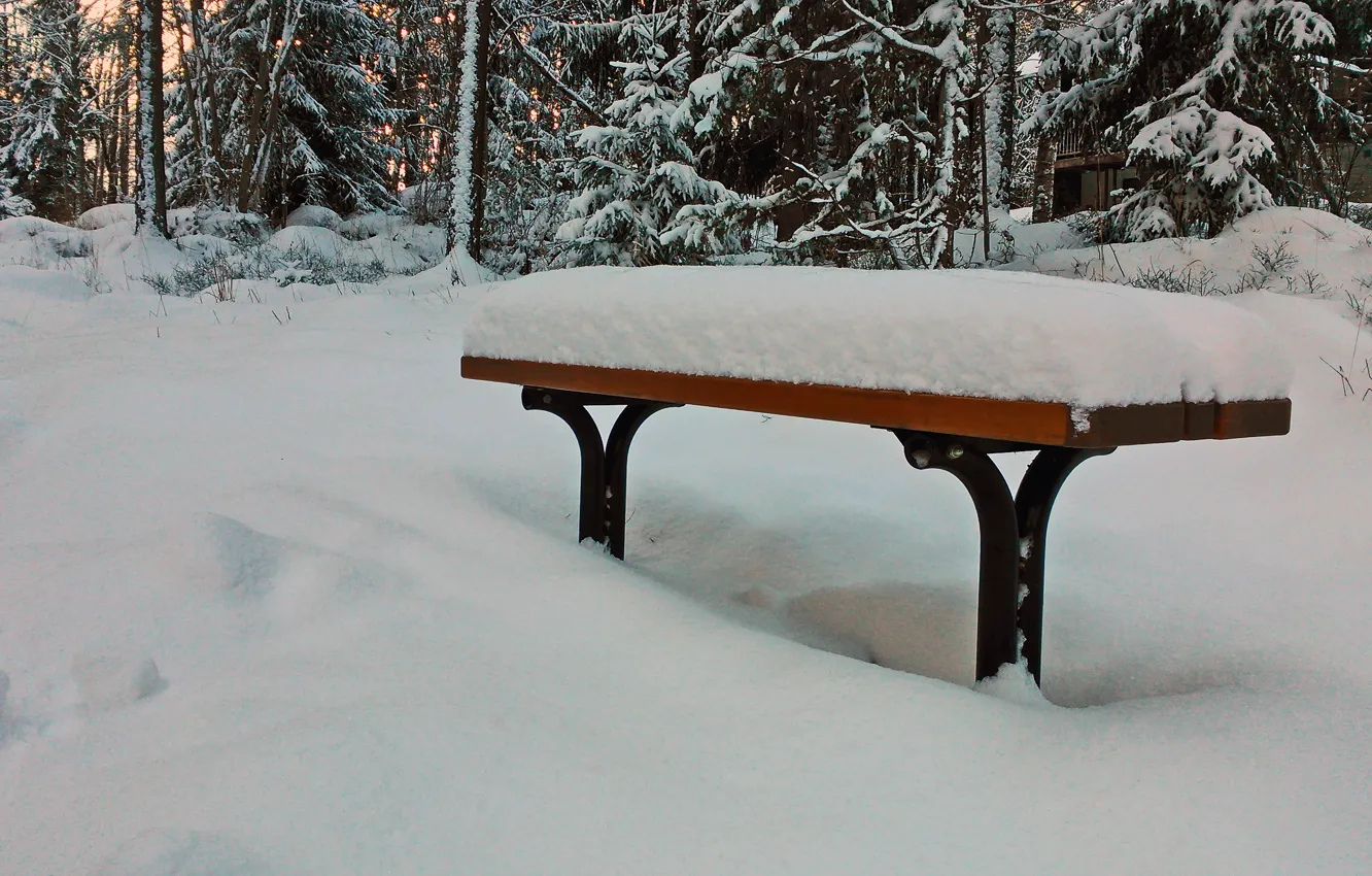 Photo wallpaper winter, forest, snow, bench