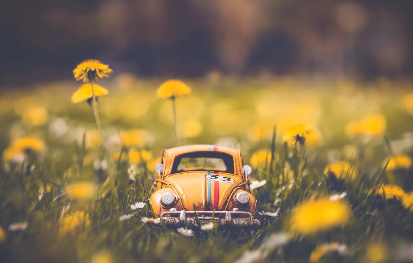 Photo wallpaper machine, flowers, nature, background