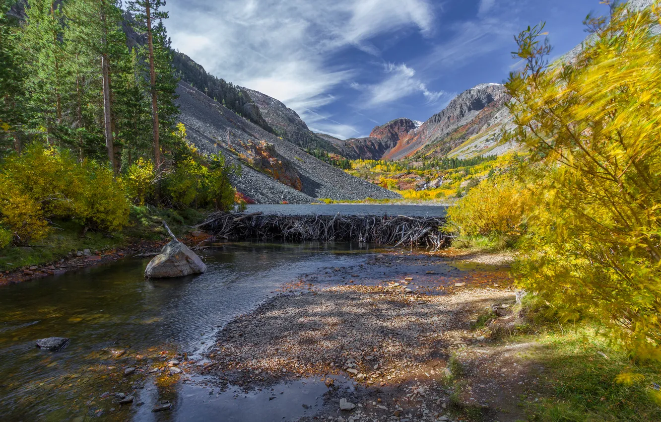 Photo wallpaper autumn, forest, the sky, mountains, lake, river, stones