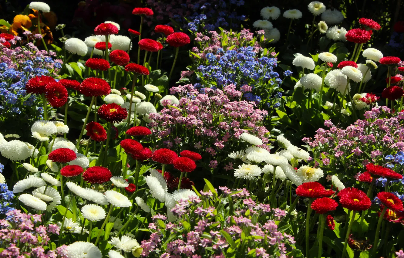 Photo wallpaper garden, spring, blooming