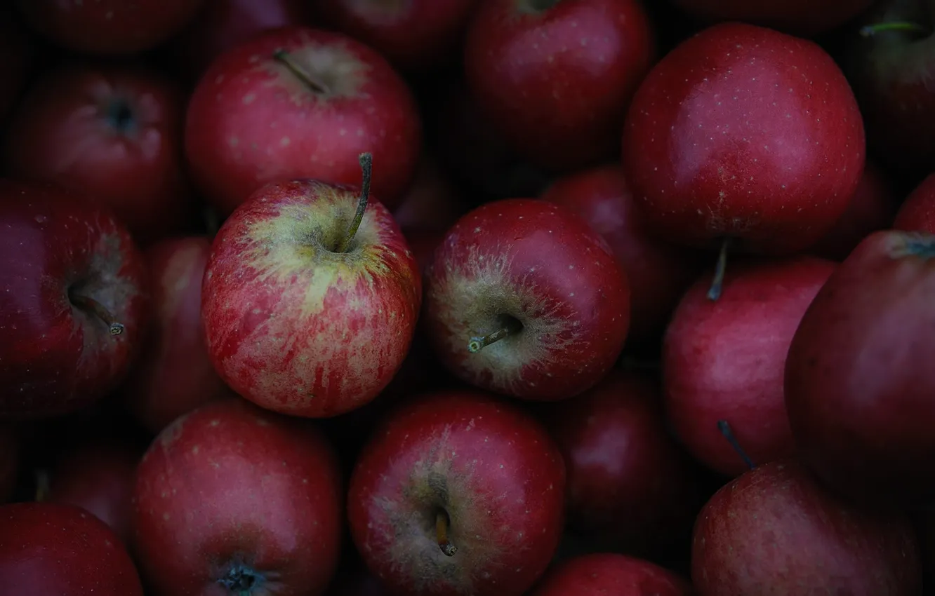 Wallpaper apples, texture, fruit for mobile and desktop, section еда ...