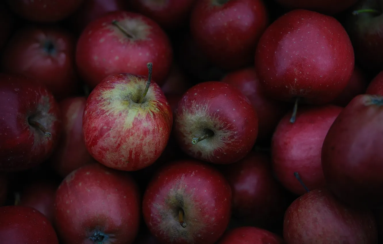 Photo wallpaper apples, texture, fruit