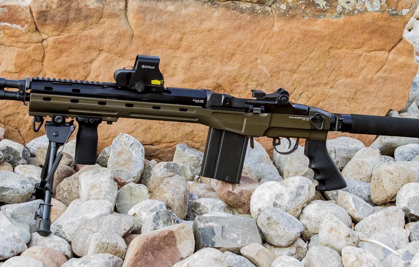 Photo wallpaper weapons, rifle, weapon, custom, rifle, M1A, M14, marksman