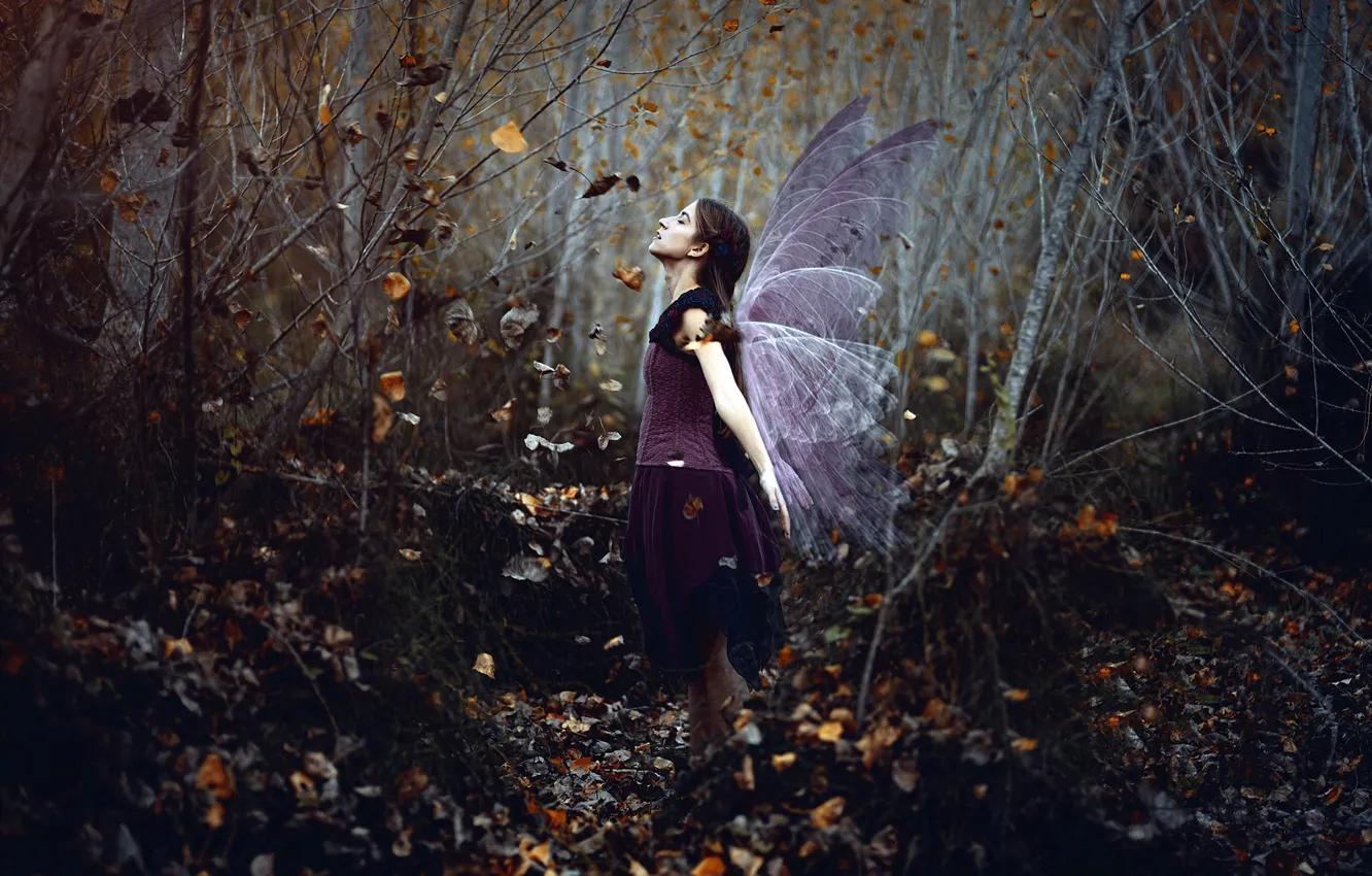 Photo wallpaper forest, girl, wings, Mar Kalina