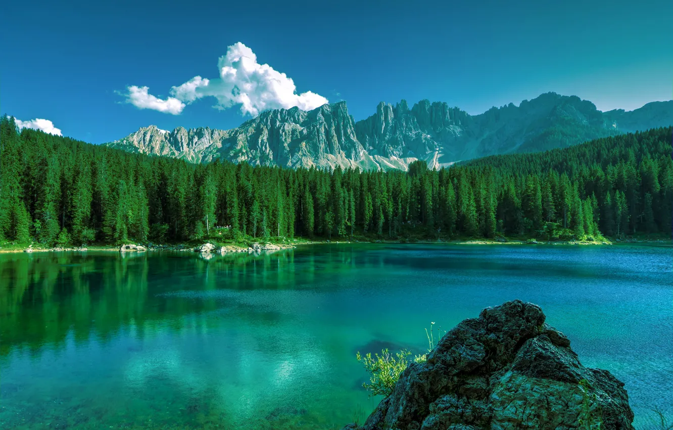 Photo wallpaper forest, water, lake, surface, ridge