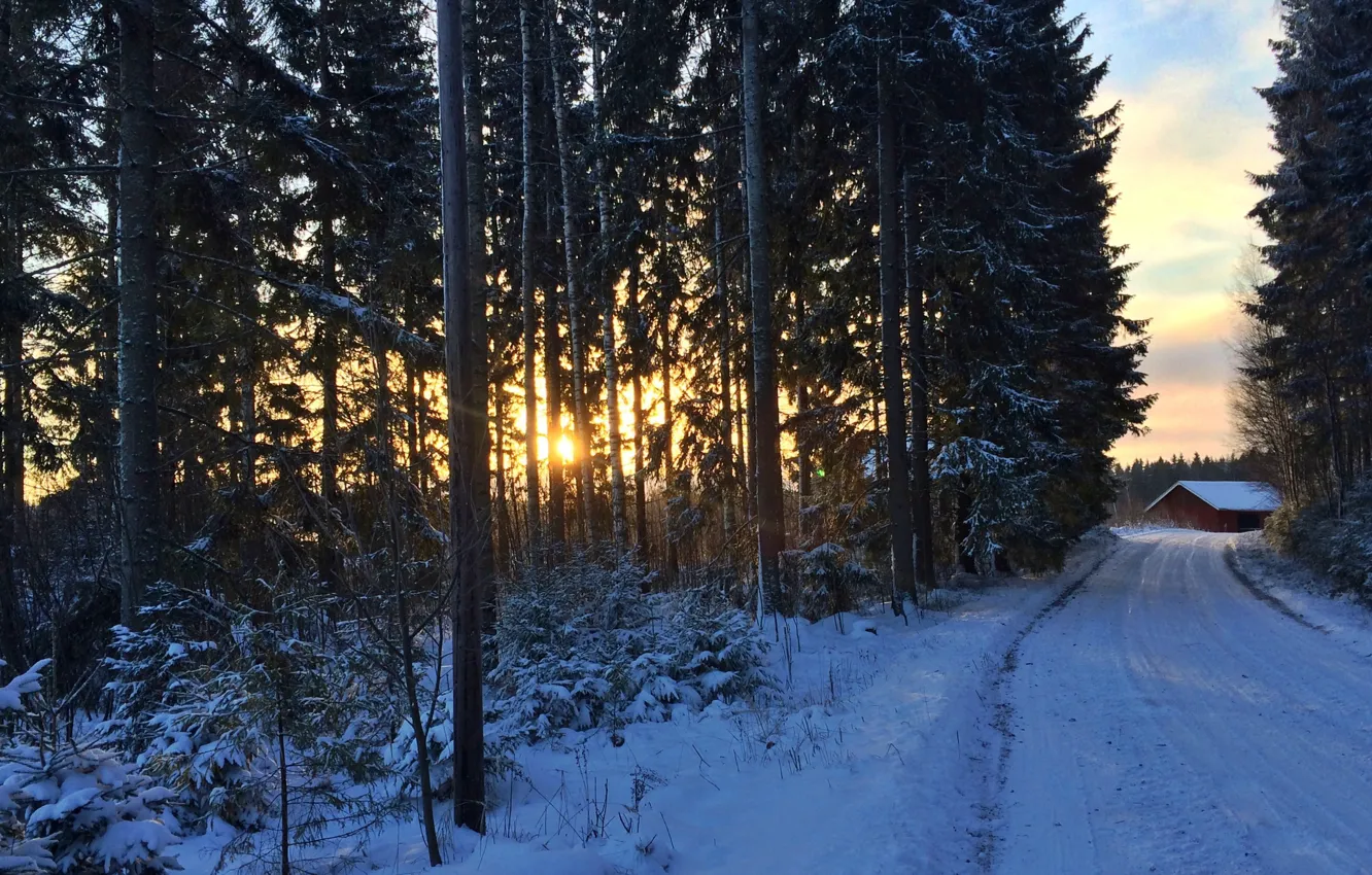 Photo wallpaper house, forest, road, winter, Southern Finland