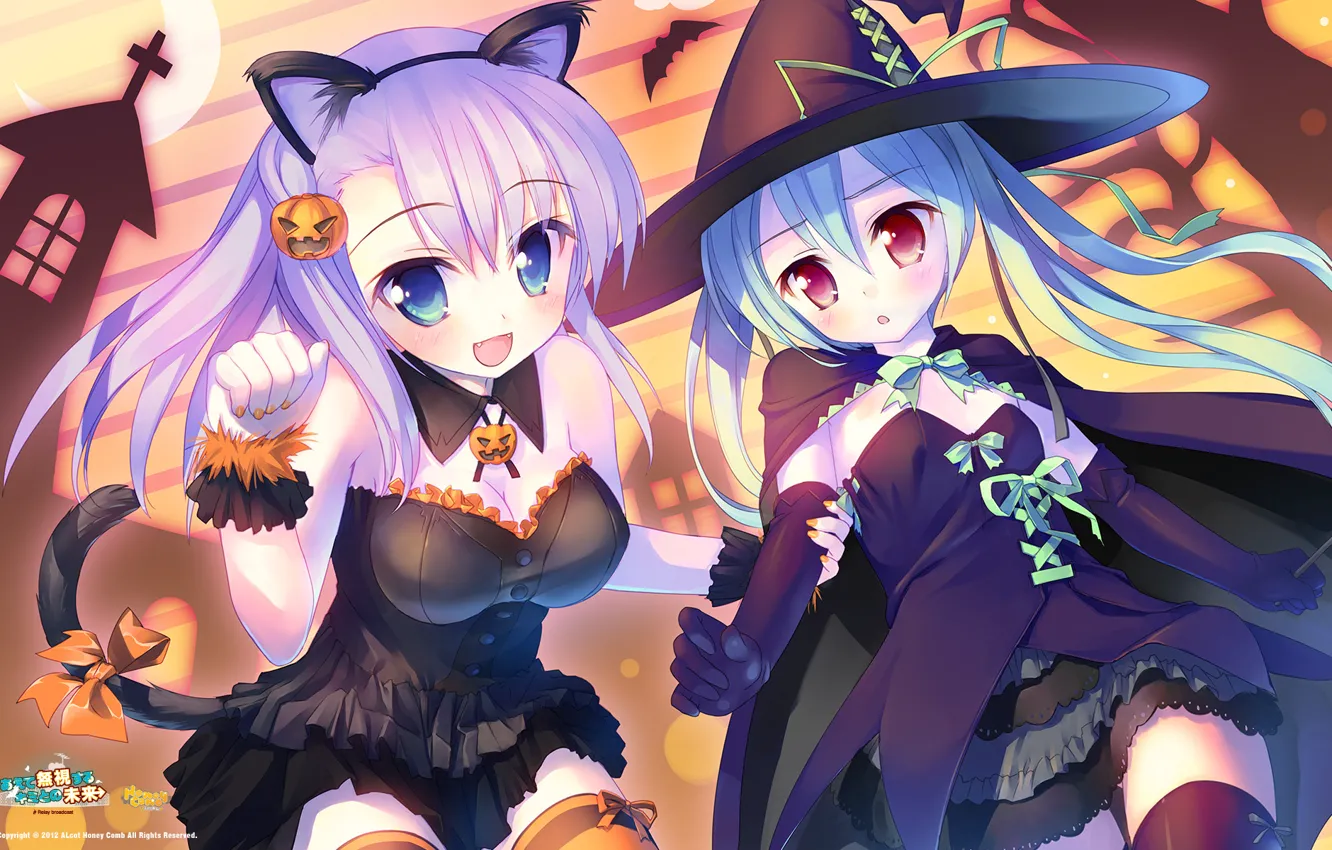 Photo wallpaper anime, tail, pumpkin, witch, cat ears