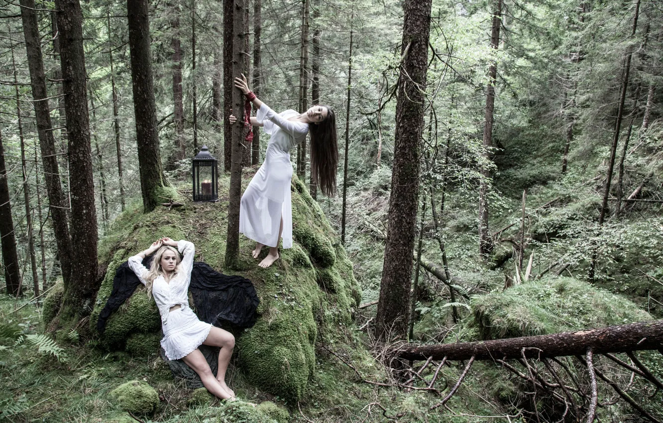 Photo wallpaper forest, the situation, lights, two girls
