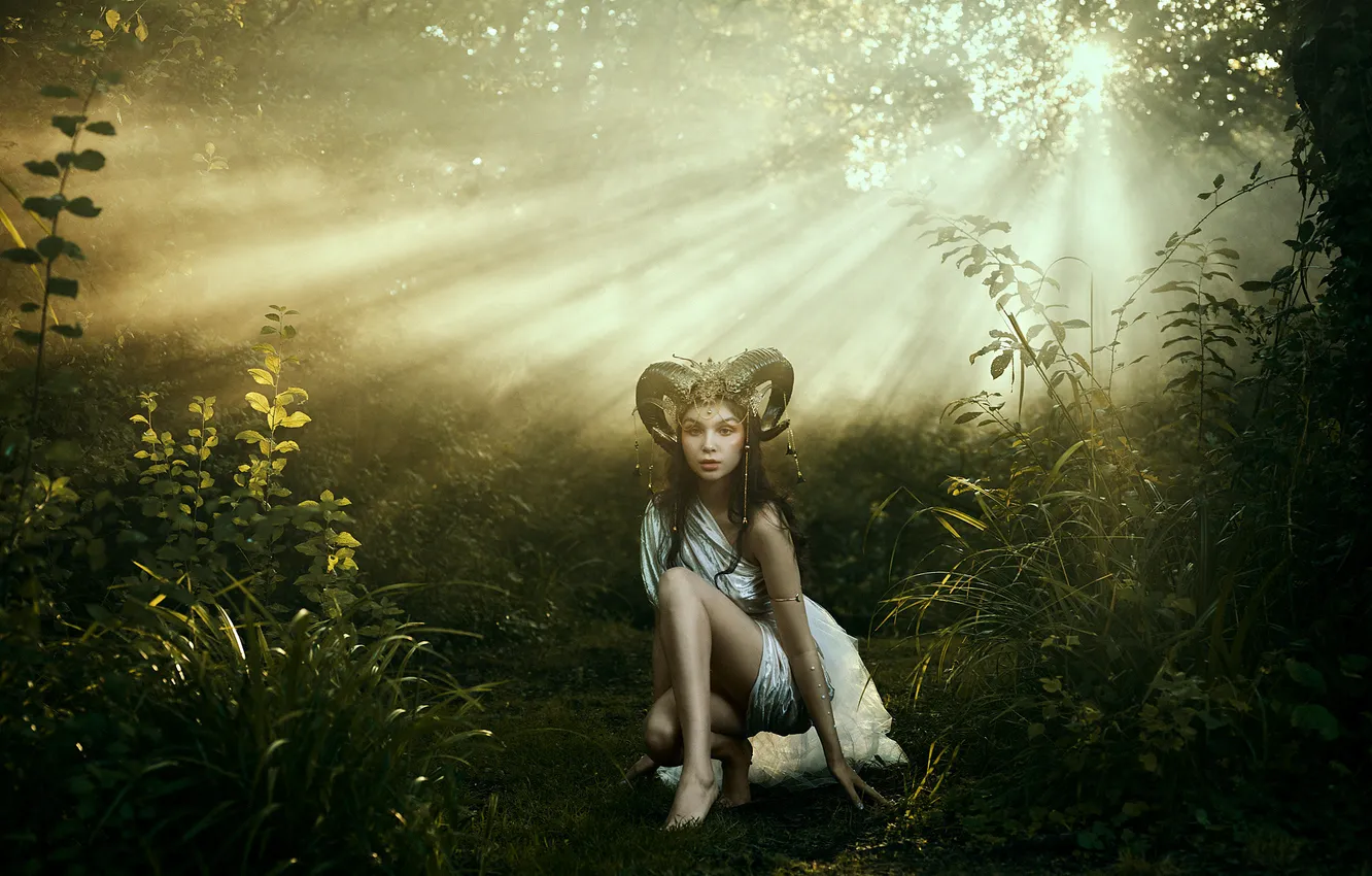 Photo wallpaper forest, look, girl, the sun, rays, light, decoration, fog