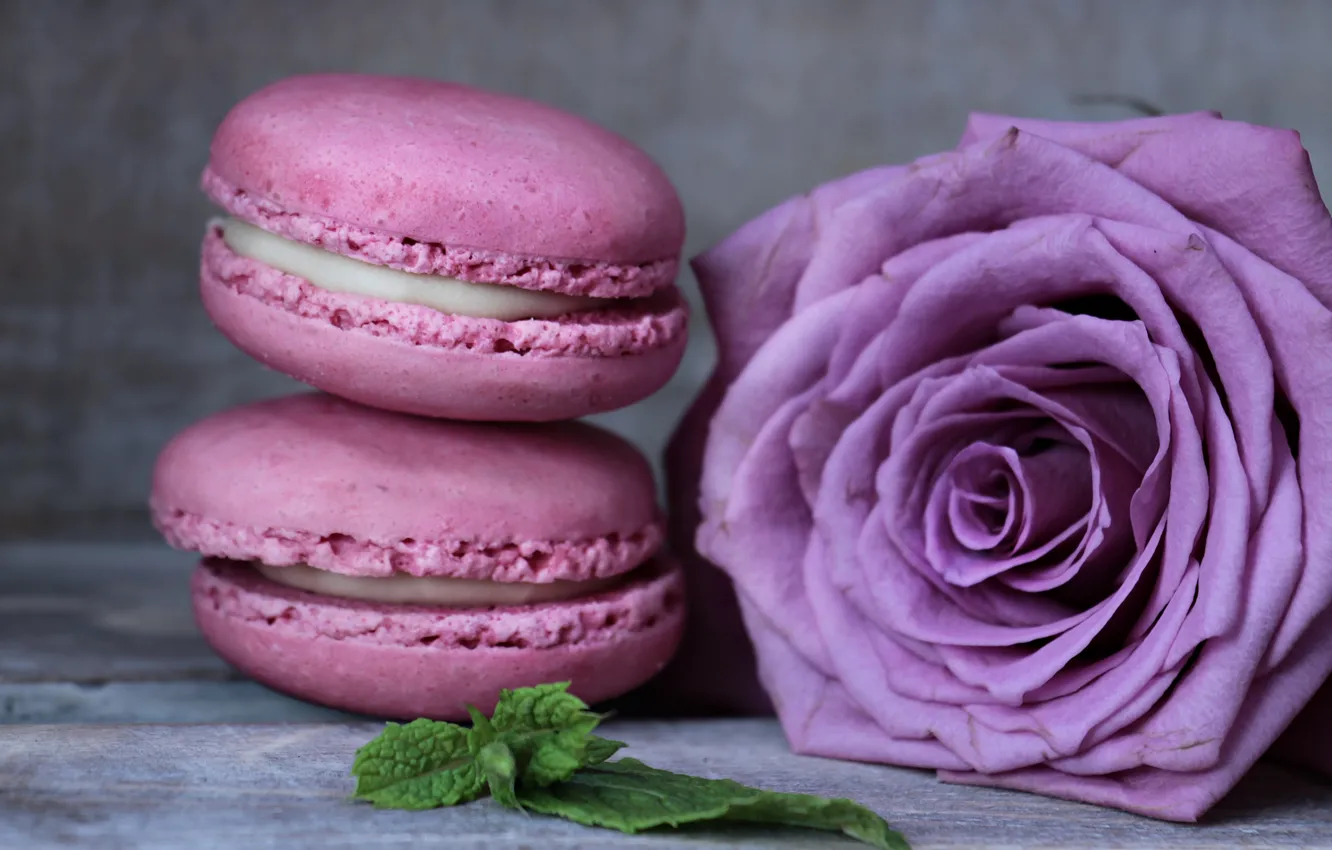 Photo wallpaper roses, dessert, cakes, macaroon, macaroons