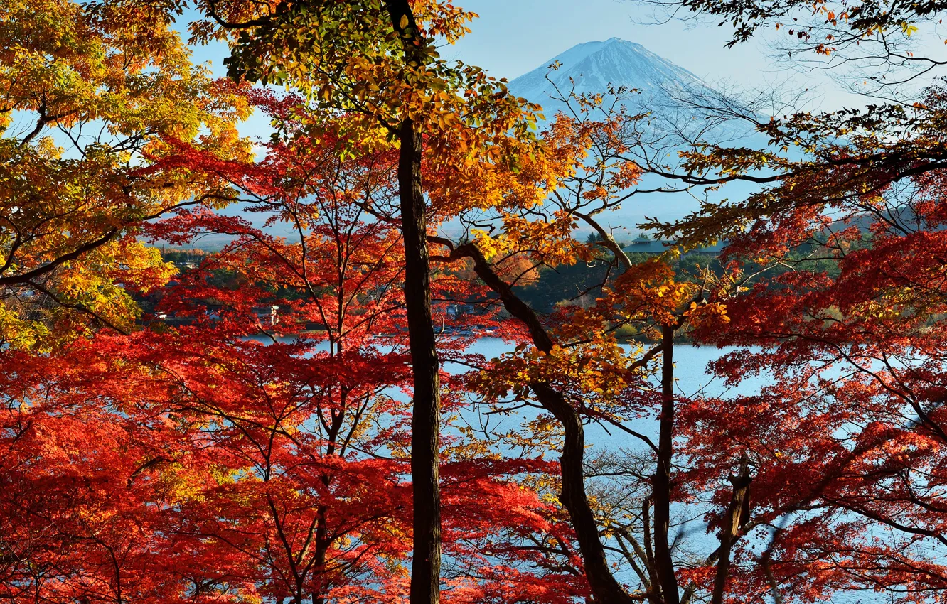Photo wallpaper autumn, the sky, leaves, trees, lake, Japan, mount Fuji