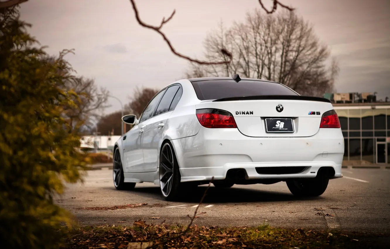 Photo wallpaper white, asphalt, leaves, branches, BMW, BMW, white, sedan