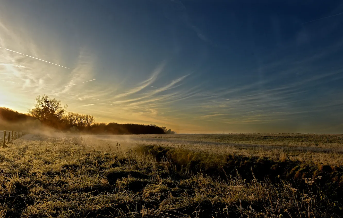 Photo wallpaper field, nature, morning