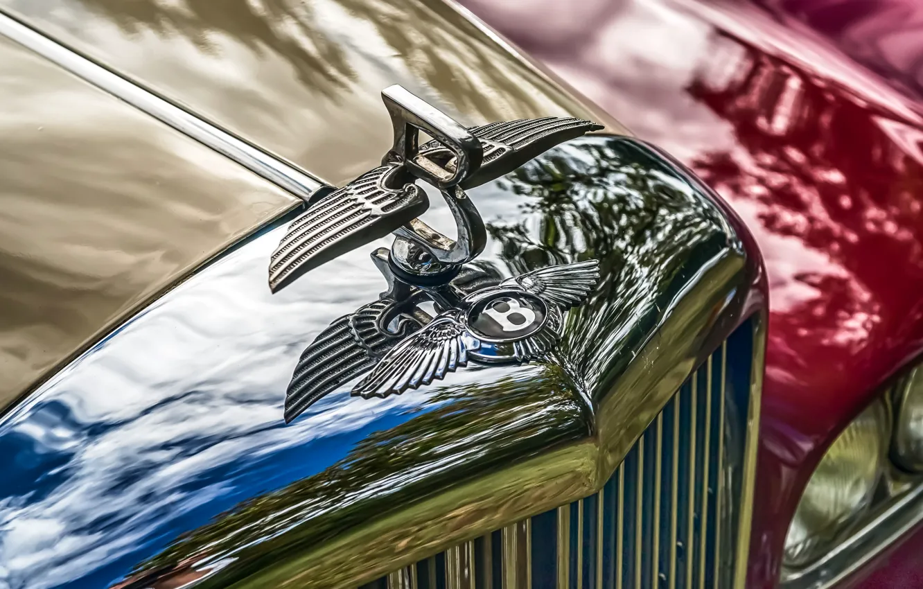 Photo wallpaper retro, Bentley, grille, emblem