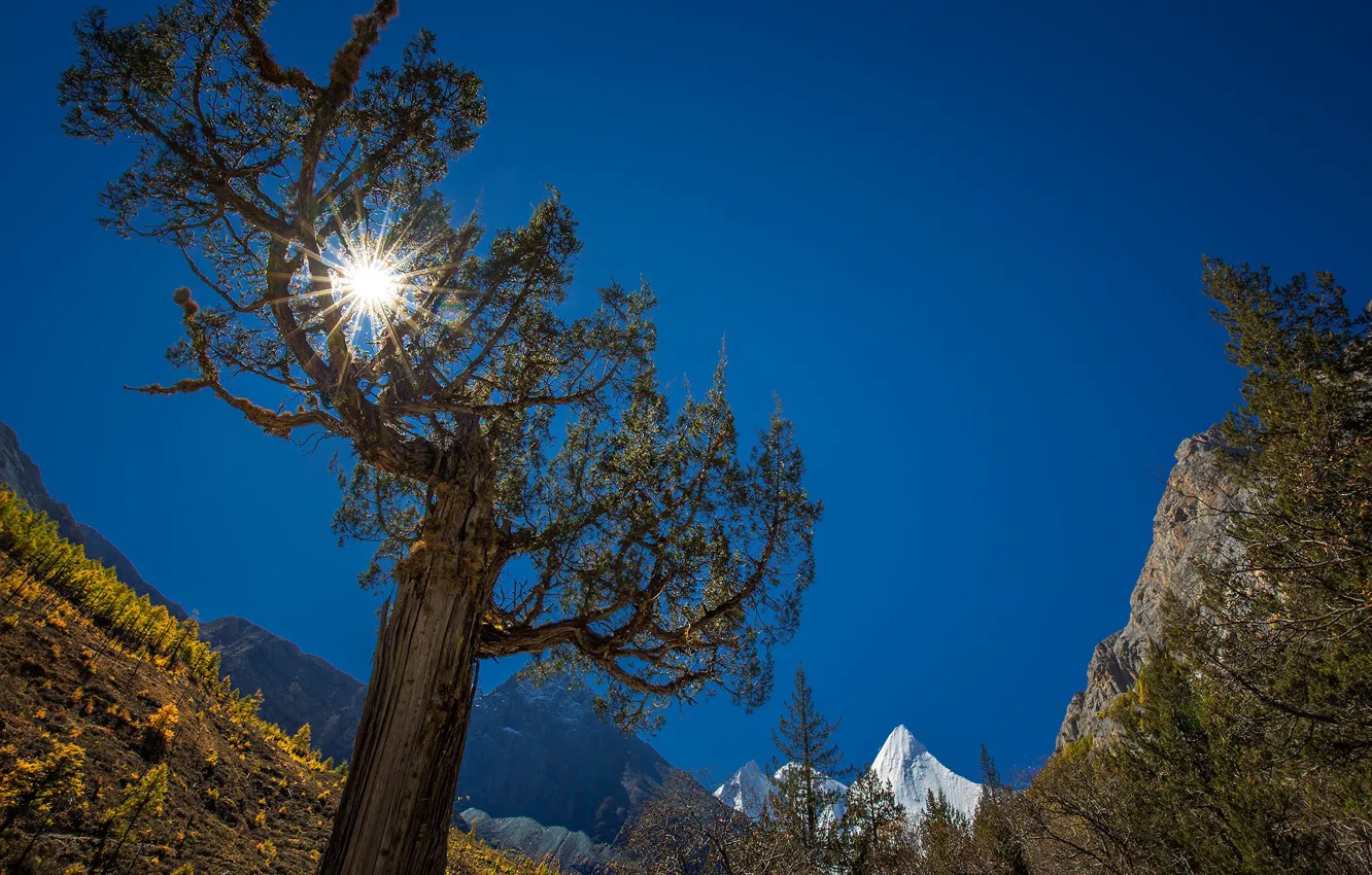 Photo wallpaper autumn, the sun, rays, trees, mountains, China, Yadin